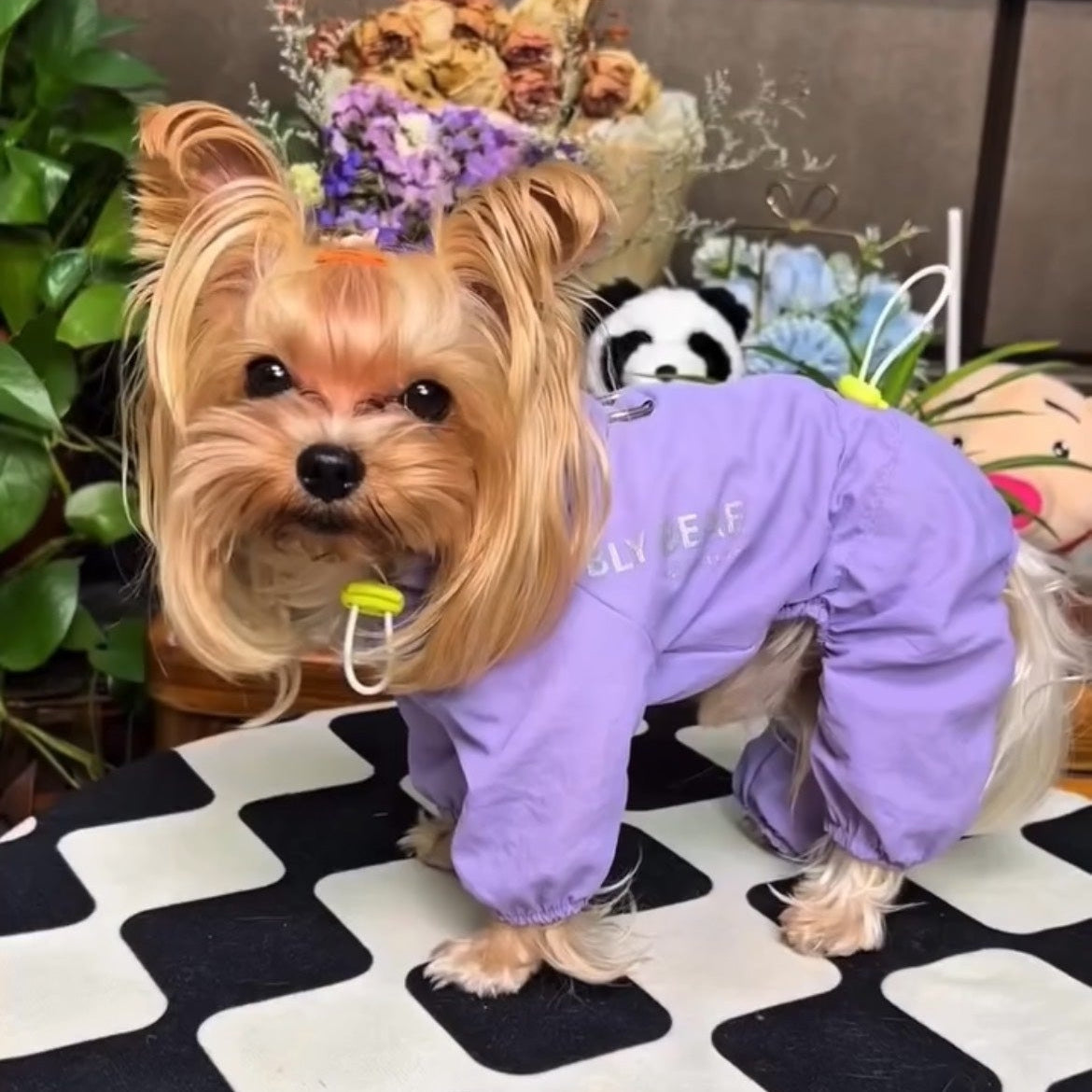 Pup Explorer Windbreaker Suit