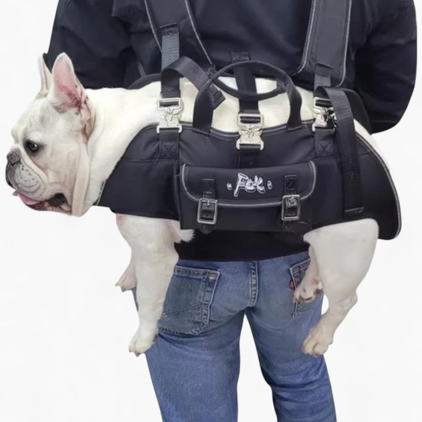 Frenchie Cross Carrier
