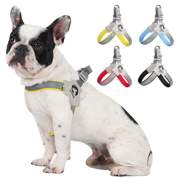 FrenchieGlow Reflective No-Pull Harness