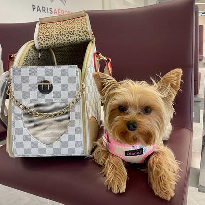 Yorkie Luxury Transporter