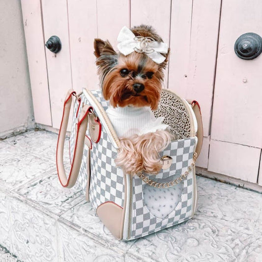 Yorkie Luxury Transporter