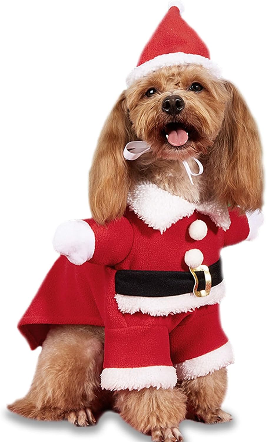 Yorkie Christmas Dress