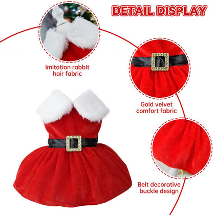 Yorkie Christmas Dress