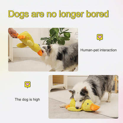 Duck Dog Toy