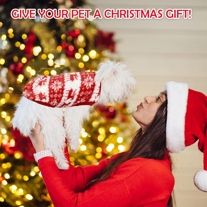 Yorkie Christmas Costume