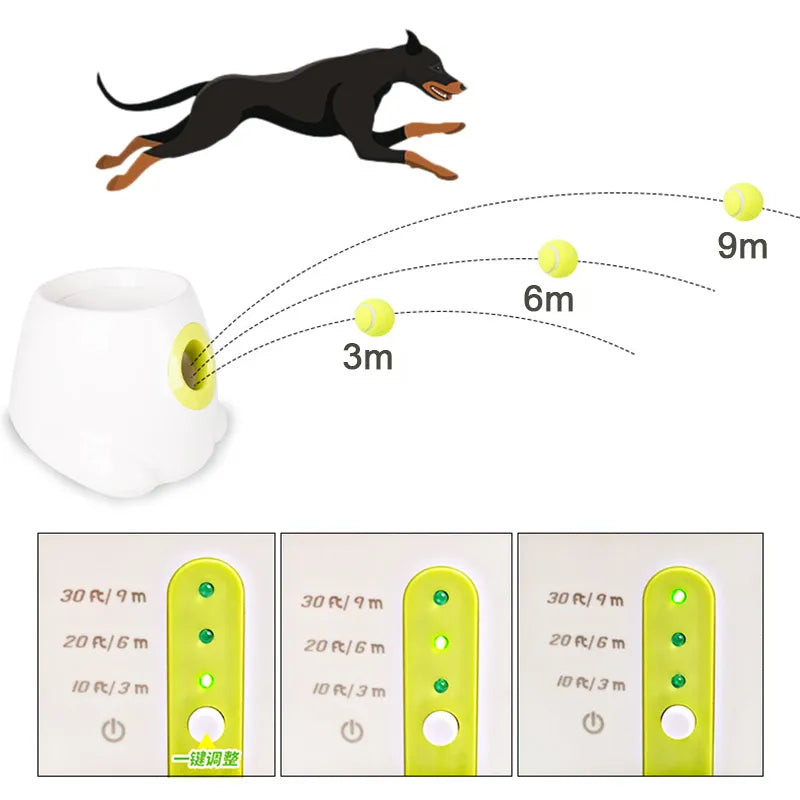 Automatic Ball Launcher for Dogs