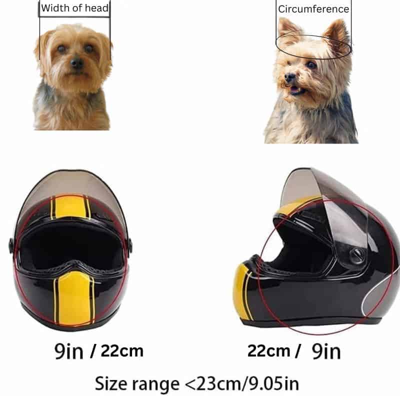 Small Dog Motorcycle Helmet