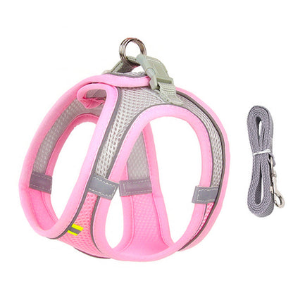 Frenchie Harness Leash Set