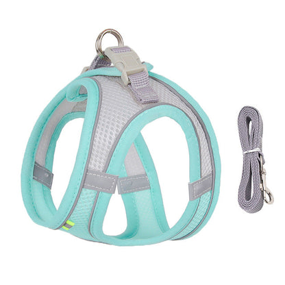 Frenchie Harness Leash Set