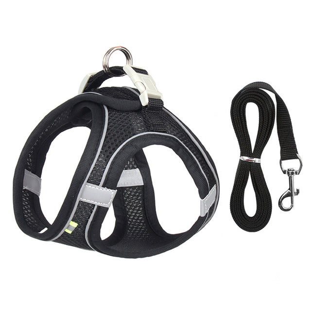 Frenchie Harness Leash Set