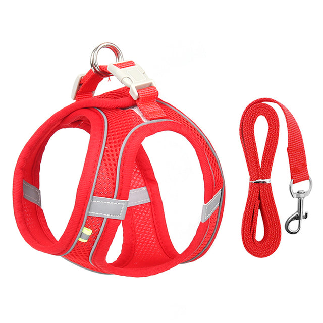 Frenchie Harness Leash Set