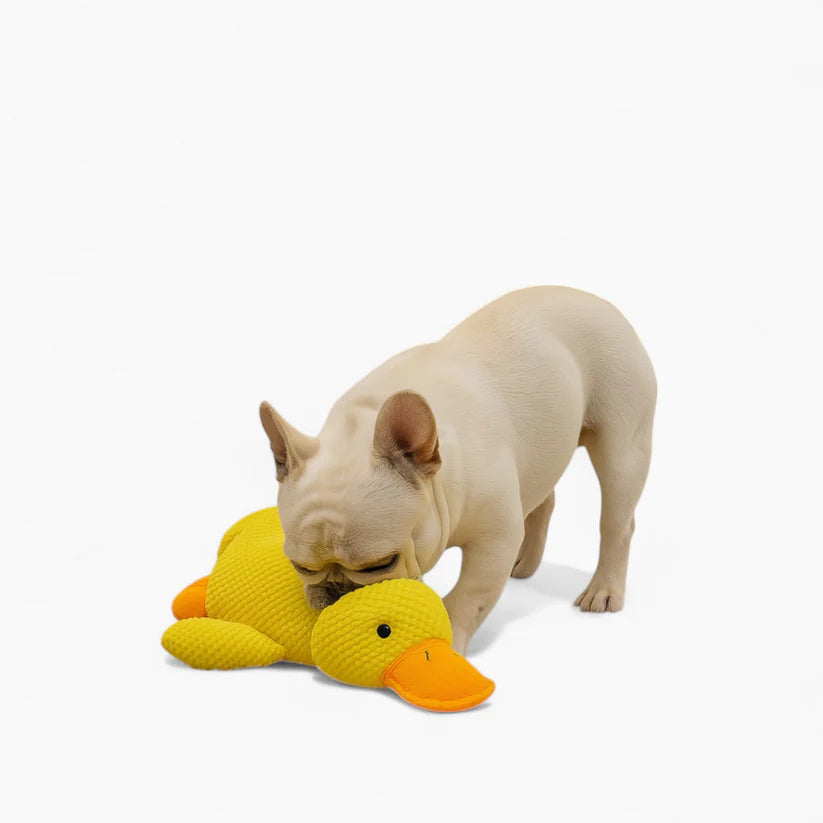 Duck Dog Toy