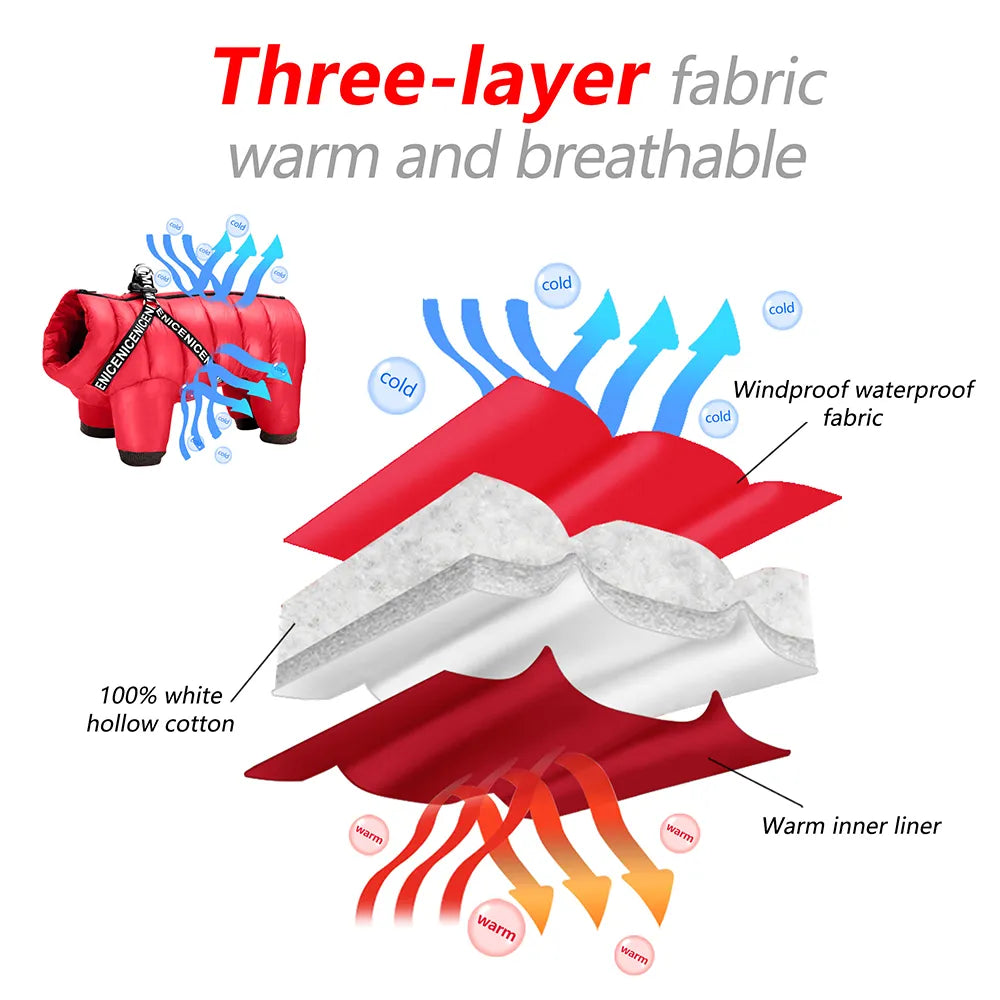 Yorkie Winter Jacket