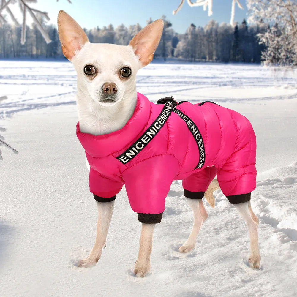 Yorkie Winter Jacket