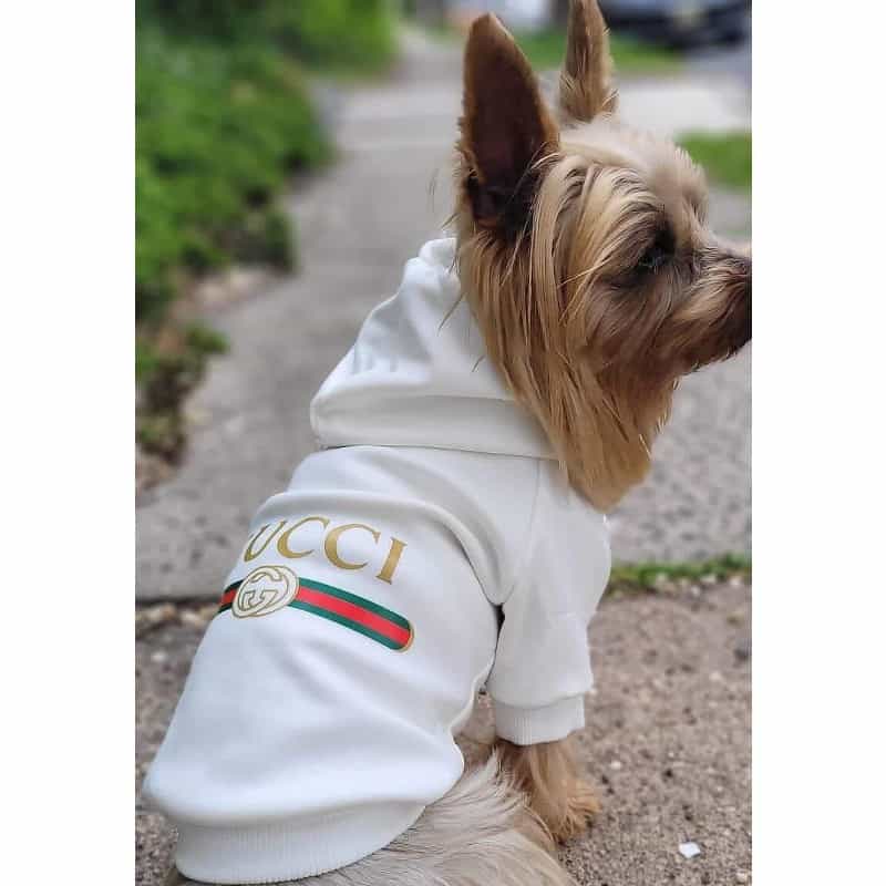 Pawcci Dog Hoodie
