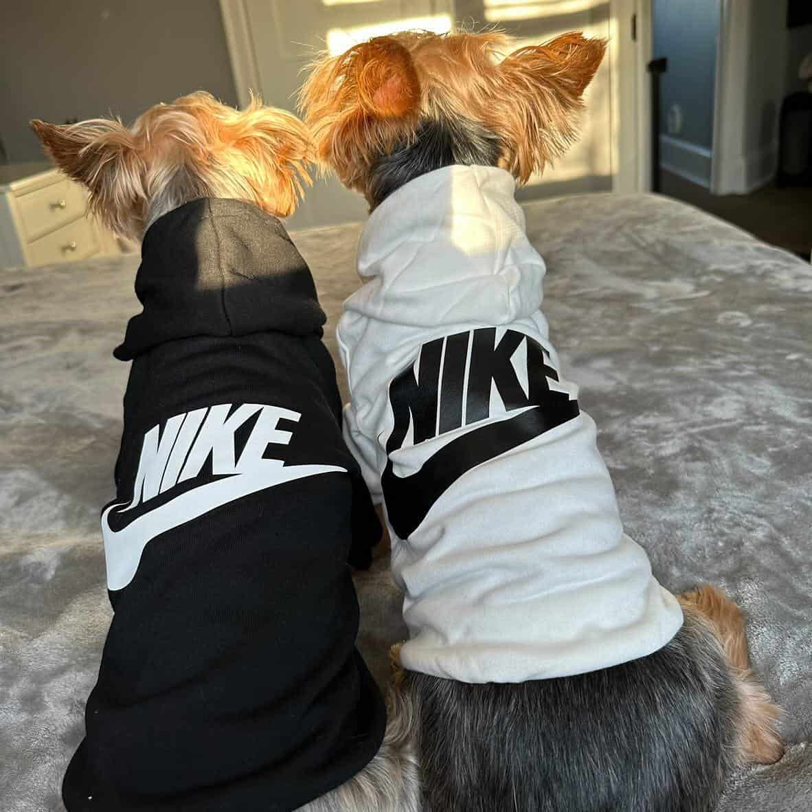 Nike Dog Hoodie