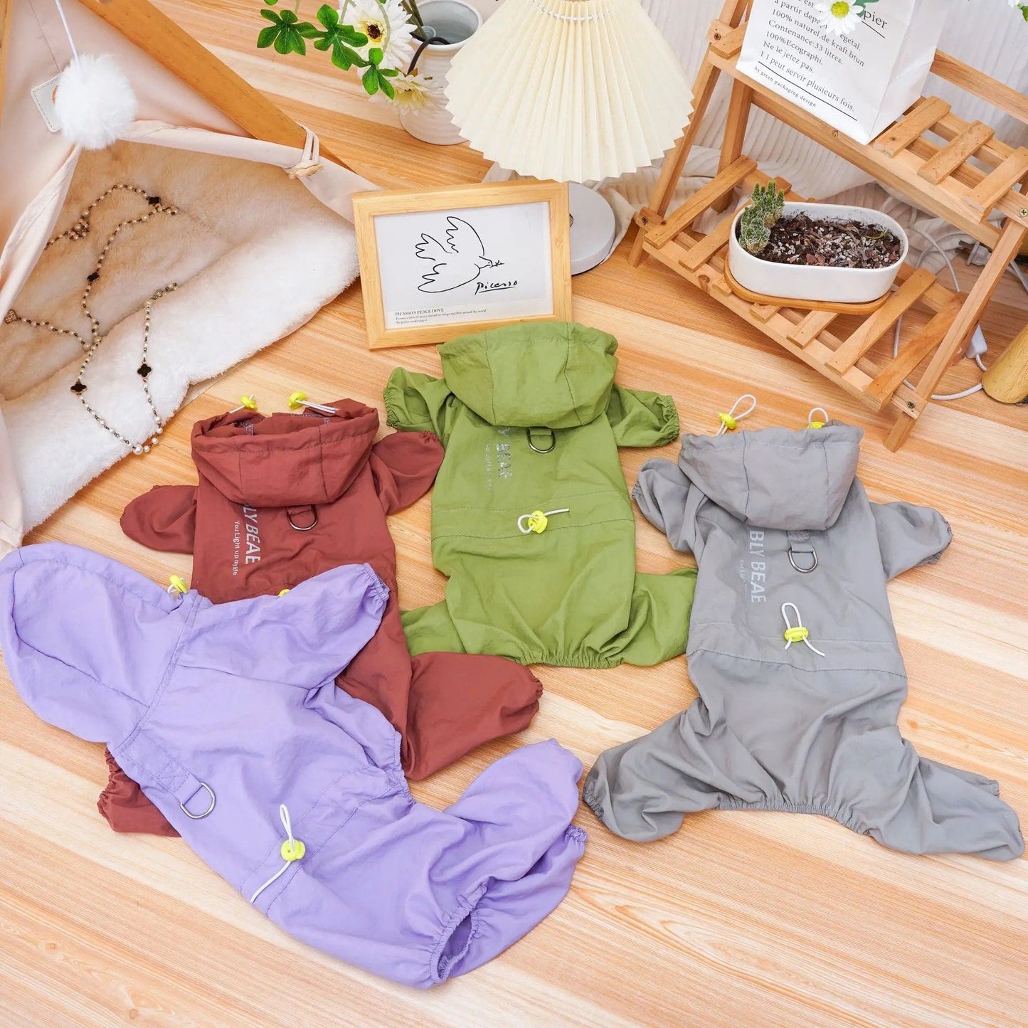 Pup Explorer Windbreaker Suit