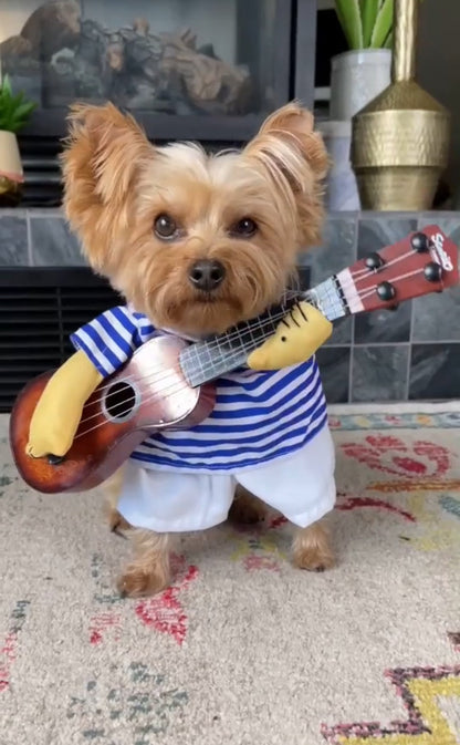The Guitarist - Halloween Costume