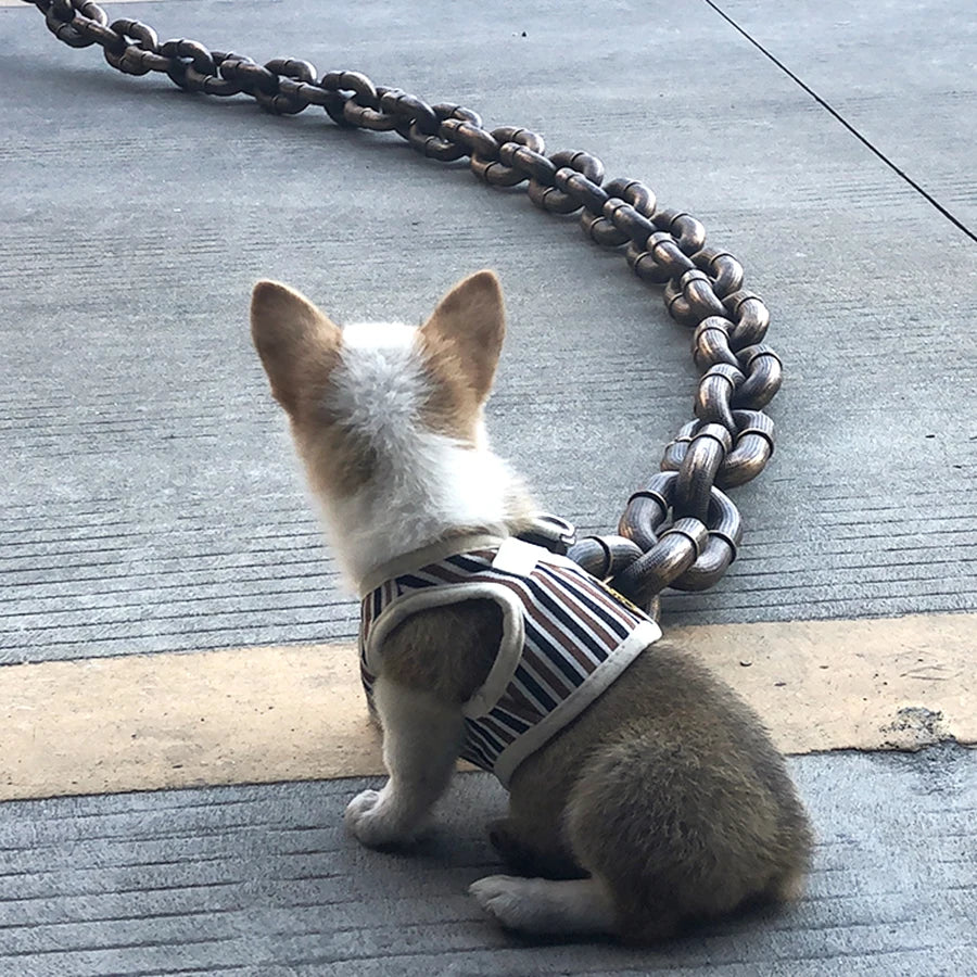 Mini Mighty Chain Leash
