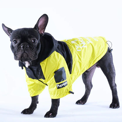 Frenchie Pupreme Windbreaker