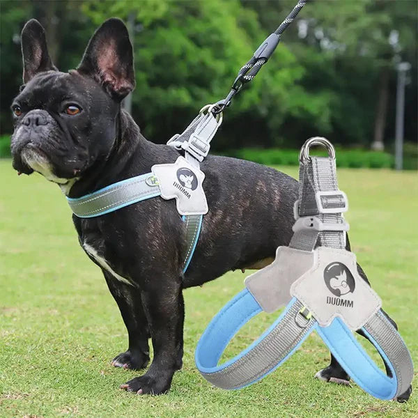 FrenchieGlow Reflective No-Pull Harness