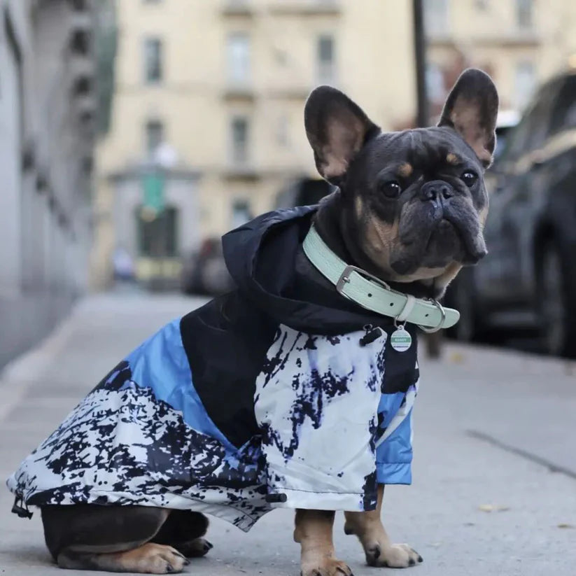 BlueStorm Frenchie Raincoat
