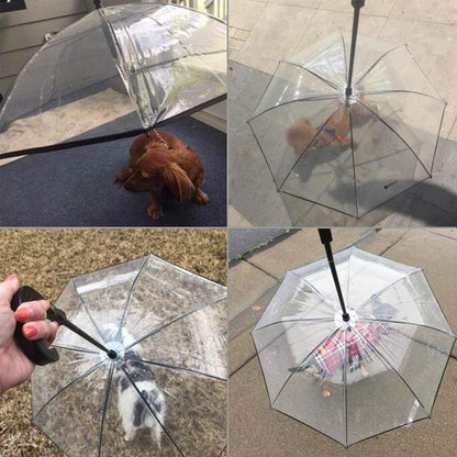 Frenchie Umbrella With Leash