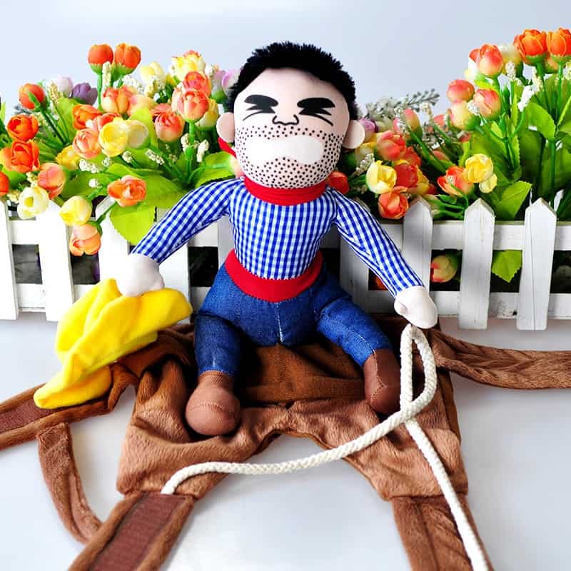 Cowboy Yorkie Halloween Costume