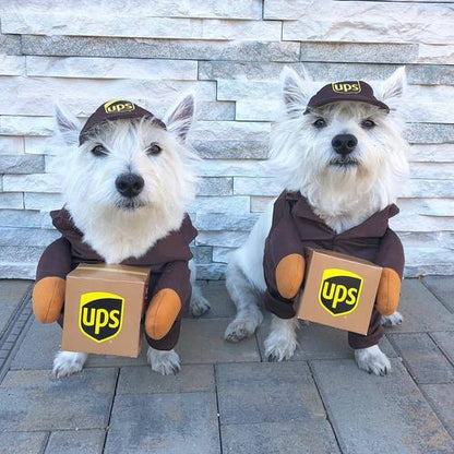 UPS Yorkie Costume