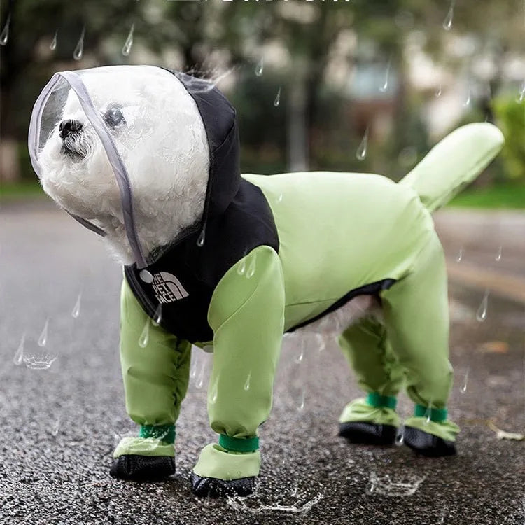 The Dog Face Raincoat