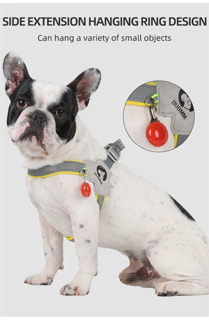 FrenchieGlow Reflective No-Pull Harness