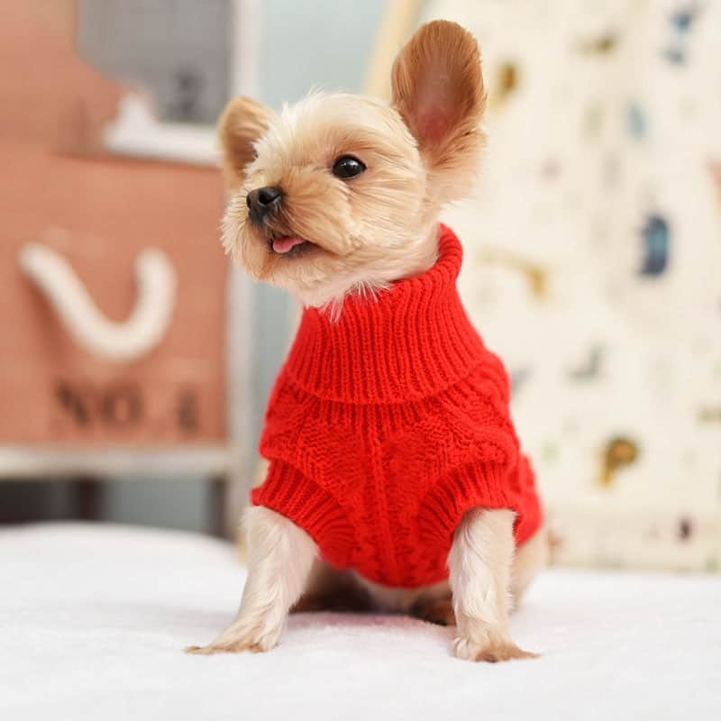 Yorkie Wool Sweater