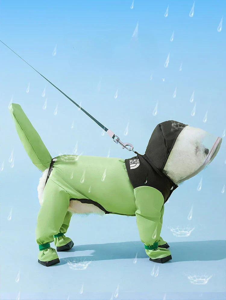 The Dog Face Raincoat