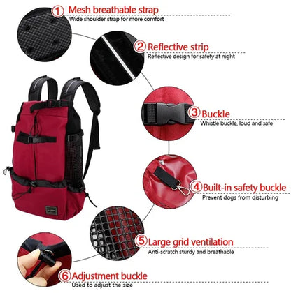 Frenchie Backpack Carrier