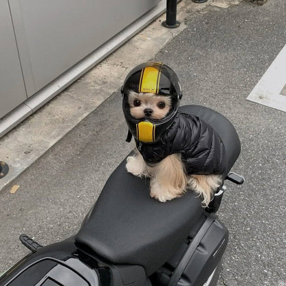 Small Dog Motorcycle Helmet