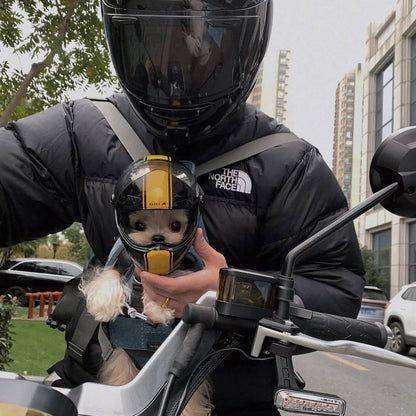 Small Dog Motorcycle Helmet