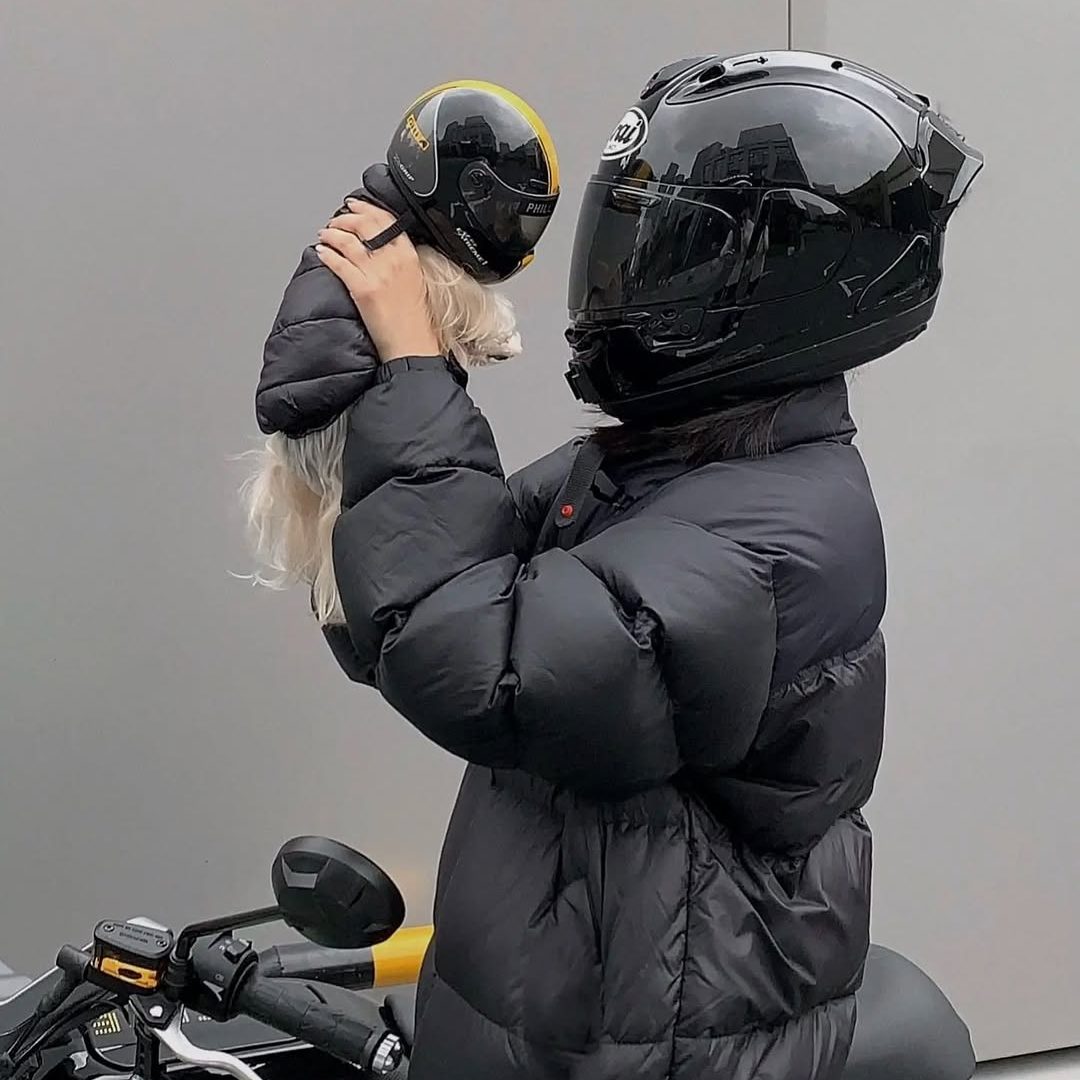 Small Dog Motorcycle Helmet