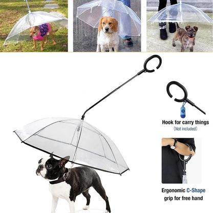 Frenchie Umbrella With Leash
