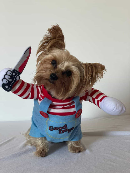 Funny Yorkie Costume