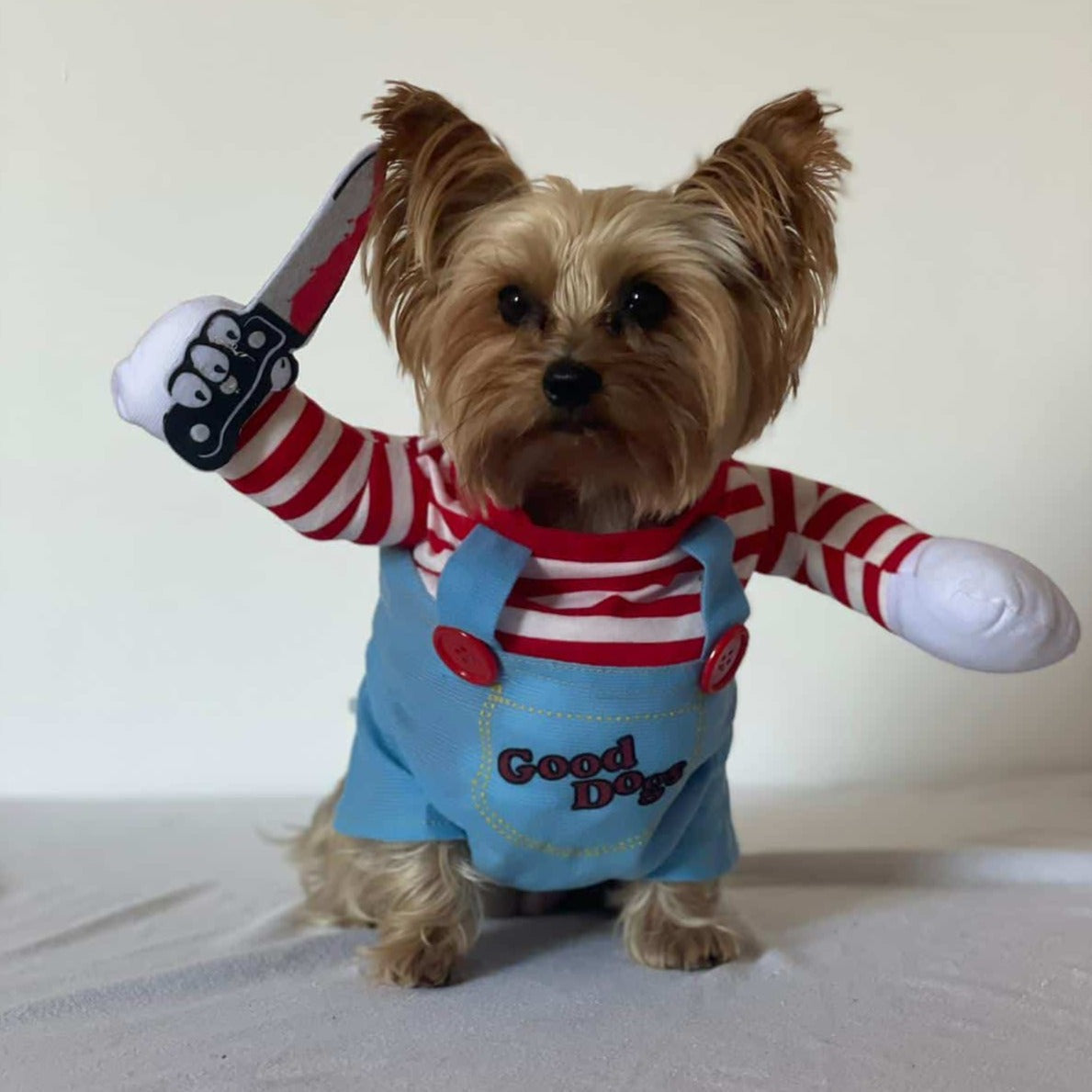 Funny Yorkie Costume