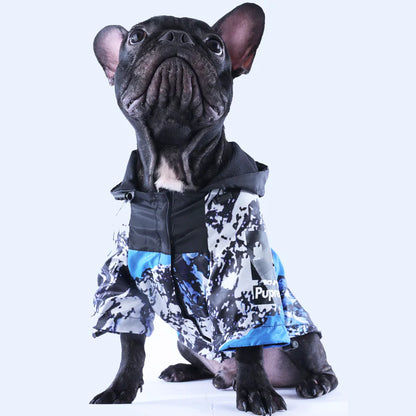 BlueStorm Frenchie Raincoat