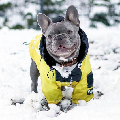 Frenchie Pupreme Windbreaker