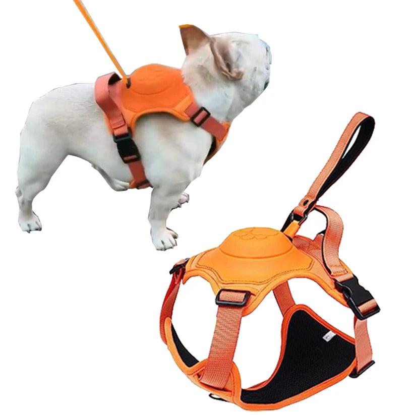 2-in-1 Retractable Leash Harness