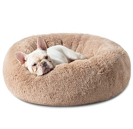 Frenchie Calming Bed