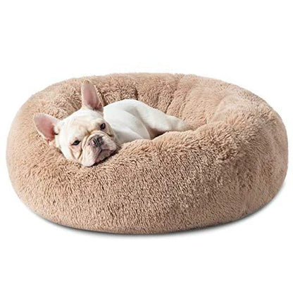 Frenchie Calming Bed