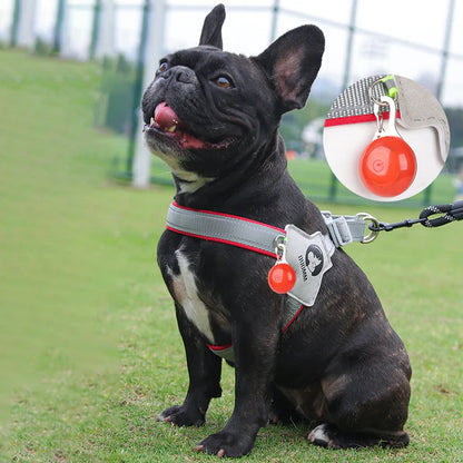 FrenchieGlow Reflective No-Pull Harness
