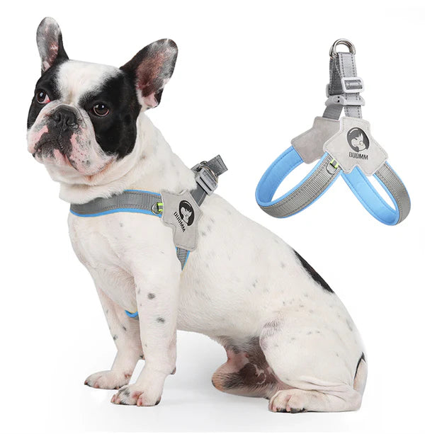 FrenchieGlow Reflective No-Pull Harness