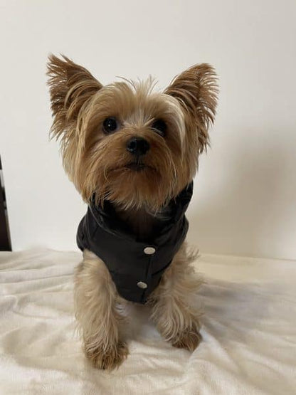 Monck Yorkie Vest Jacket