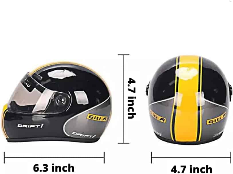 Small Dog Motorcycle Helmet