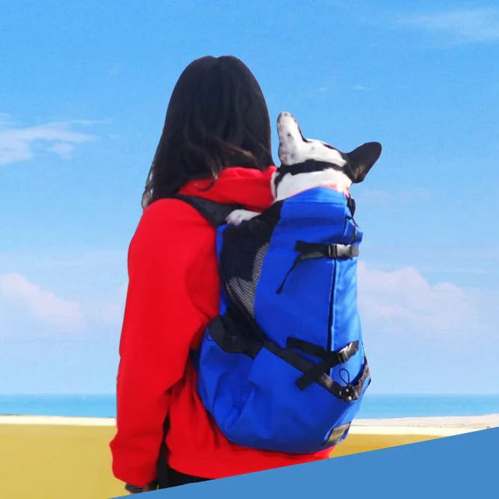 Frenchie Backpack Carrier